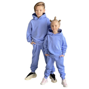 Ensemble de survêtement à capuche bleu clair pour bébés garçons, tenue décontractée à manches longues de couleur unie avec pantalon à cordon de serrage - Product Image 5