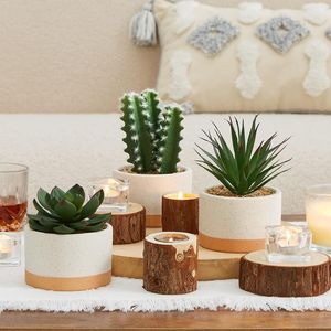 Piante Succulente Finte Assortite in Vasi di Ceramica, Cactus Artificiali per Arredamento Casa, Camera da Letto, Ufficio, Scrivania, Collezione di Piante Artificiali - Product Image 4
