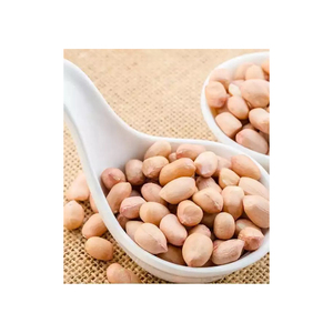 Approvisionnement en vrac d'arachides, prix de gros abordable, qualité nutritive, qualité d'exportation - Product Image 3