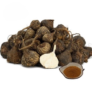 Poudre de racine de Maca noire de qualité supérieure, 100 % naturelle, de qualité alimentaire, dérivée de plantes, pour la fabrication de boissons - Product Image 2