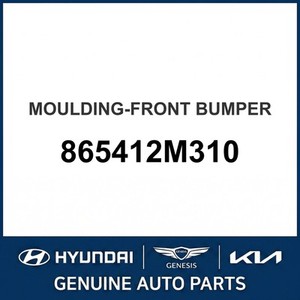 ชุดแต่งตัวถังและขอบประตูใหม่ 865412M310 - Product Image 1