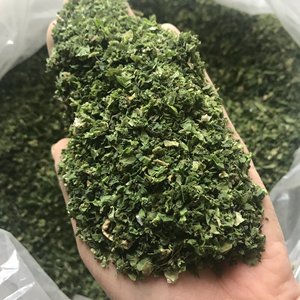 Polvo de Algas Verdes Naturales, Algas Verdes Secas Molidas Finamente, 100% Puras para Alimentos y Bebidas - John - Product Image 1