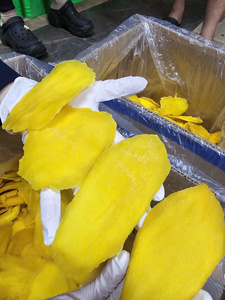 Air Dried Mango Vietnam Premium Chewy Dried Mango Tropical Fruit Snack Wholesale Bulk Special Offer 99KG Free - Product Image 3