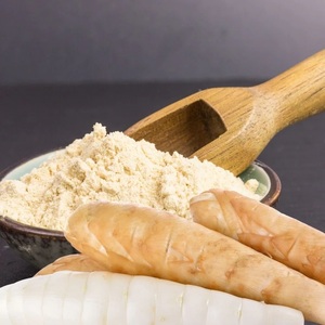 Poudre de racine de arrowroot exportée du Vietnam – Fournisseur en gros d'ingrédients alimentaires de première qualité - Product Image 3