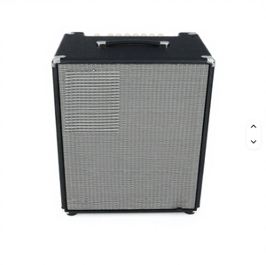 Amplificateur de basse électrique industriel neuf, 800 watts, 2 haut-parleurs de 10 pouces, personnalisable OEM - Product Image 5