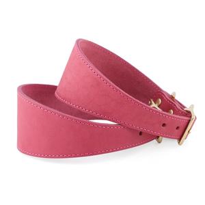 Reflective Durable Solid Buckle Adjustable Nylon <b>Dog</b> <b>Collar</b> <b>Small</b>/Medium <b>Dogs</b> Custom Air Tag Locator Protection Custom Colors - Product Image 1
