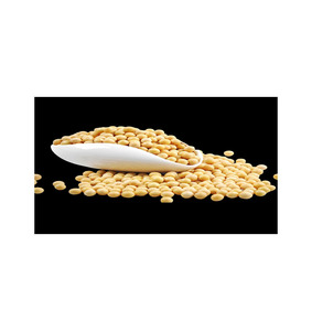 Concentrado de Proteína de Soya Natural, Ingrediente Alimenticio Premium, Suministro a Granel para Fabricantes Globales - Product Image 1