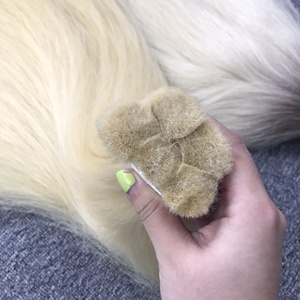 Vente en gros 100% Vierge Vietnamien Remy Grade Blonde Os Droit Frontal Faisceau Machine Double Trame 100gr Cheveux en vrac - Product Image 3