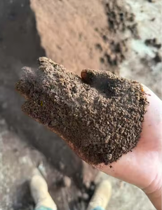 100% Puro Polvo de Estiércol de Vaca en Forma Seca, Abono Natural para Plantas y Agricultura |   Compost de Alto Contenido Nutritivo |   Indigo Organics |   24 meses de duración en el mercado - Product Image 6