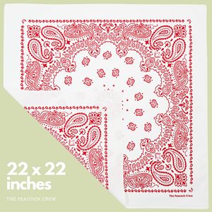 Pañuelo Promocional Personalizado al por Mayor de Algodón Liso con Estampado Digital Paisley Estilo Western para Mujer, Máscara Deportiva para el Sol y Decoración del Cabello - Product Image 5