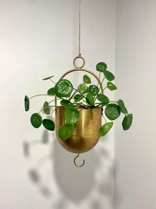 Pot suspendu élégant en or avec poignée ronde, pot décoratif pour plantes d'intérieur et d'extérieur, jardin, balcon, au meilleur prix - Product Image 2