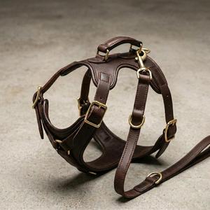 Arnés de Cuero Personalizado para Perro, Resistente, Ajustable, Tipo Chaleco, Sin Tirones, para Entrenamiento y Paseo, Accesorios para Perros de 20 kg+ - Product Image 1