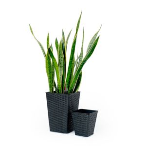 Lot de 2 jardinières carrées auto-arrosantes en osier tressé à la main pour espresso, pots et jardinières intelligents pour fleurs d'intérieur et d'extérieur - Product Image 1