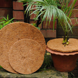 Eco2go Vietnam Coconut Coir Mulch <b>Rings</b> Modern Natural Garden Mat Eco-Friendly Plant Protection Disk for Outdoor Use - Product Image 1