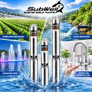 ปั๊มน้ำบาดาลแบบจุ่ม 2 แรงม้า 4 นิ้ว เฟสเดียว 250 ลิตร/นาที - Product Image 1