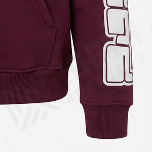 Sweat-shirt à capuche décontracté pour homme, chaud et tendance, avec impression en relief, col personnalisable, couleur personnalisable, best-seller ODM - Product Image 6