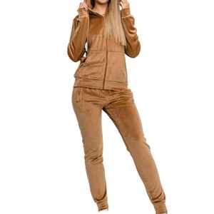 High Quality Custom Logo Lightweight Winter Casual Regular Size Front Stand Collar <b>Velvet</b> <b>Tracksuit</b> Unisex - Product Image 1