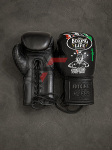Gants de boxe professionnels personnalisés de haute qualité, fabriqués en usine, avec motif Pit Bull imprimé, « No Boxing No Life » - Product Image 6