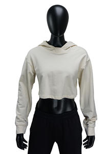 เสื้อฮู้ดดี้ผู้หญิงผ้าคอตตอนเวลัวร์คุณภาพสูง DH016 หนัก 290GSM ผสมสแปนเด็กซ์ ทรงเรียบ ซักแล้ว สไตล์สตรีทแวร์ แบบยาว สั่งทำได้ - Product Image 2