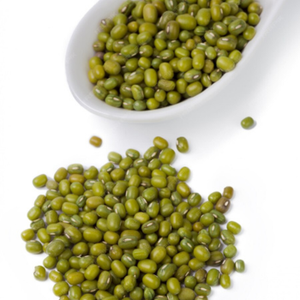 Frijoles Verdes Orgánicos de la India en Empaque a Granel para Tiendas de Comestibles Internacionales y Suministro al por Mayor - Product Image 4