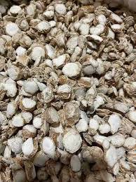 ครีมรากโซโดเอรียแท้จาก100% สมุนไพรธรรมชาติส่งออกคุณภาพการค้าโลกสวามิจิอินเดีย - Product Image 2