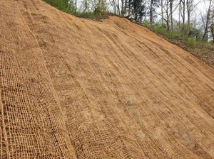 Vietnam Natural Coconut Coir Mesh for <b>Soil</b> Erosion Control Biodegradable Coir Net Mat for Agriculture & Landscaping by Eco2go - Product Image 6
