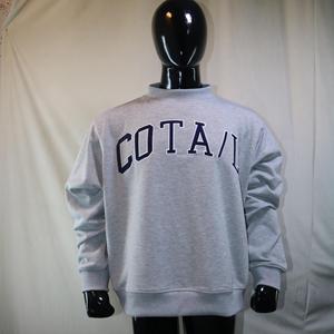 Sudadera COTA con cuello simulado, 450 GSM, nombre personalizado, bordado en aplique, corte holgado, 100% algodón, felpa francesa. - Product Image 4