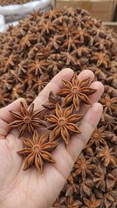 Anís estrellado seco en piezas enteras, especias naturales de Vietnam, anís estrellado en hojas individuales, especias crudas. - Product Image 5