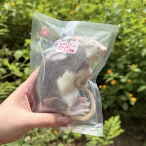 Rat congelé pour alimentation animale 4XL 155-188gg – Emballage individuel |   Enrichi en probiotiques - Product Image 1