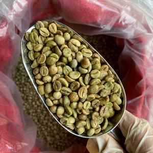 Vietnam <b>Robusta</b> <b>Coffee</b> <b>Beans</b> – Natural Unroasted Bulk Supply OEM ODM Export Grade with Consistent 12% Moisture - Product Image 1