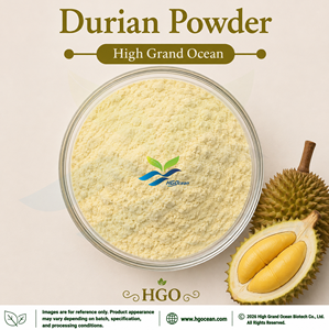 Suministro Directo de Fábrica HGO de Polvo de Durian Puro y Natural (Grado Alimenticio), Polvo de Fruta Secado por Aspersión o Liofilizado - Product Image 1