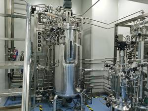 Biorreactor de Acero Inoxidable 304/316 de 500L, Fermentador, Recipiente a Presión, PLC, Producción de Vacunas contra la Enfermedad de Pies y Boca, 5000L - Product Image 2