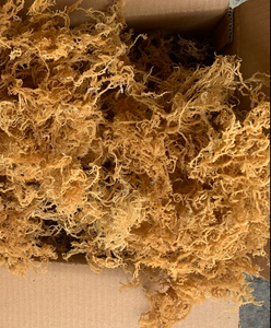 <b>Dried</b> Laver Seaweed Chopped 20-40cm Natural Salted Moisture Rich Bulk 0.1-0.5kg Vietnam Ca Mau GOOD Brand 1 Year Shelf Life - Product Image 6