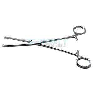 Pince Kocher chirurgicale droite robuste pour usage hospitalier, à maintien ferme - Product Image 5