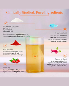 คอลลาเจนพรีเมียมชนิดที่ 1 และ 3 รสชาติมะม่วงพีช ผงโภชนาการจากพืช - Product Image 3