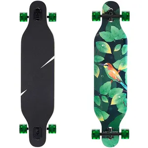 Hot bán 41 "longboard đường xuống dốc tốc độ chuyên nghiệp Gỗ hoàn chỉnh ván trượt dài