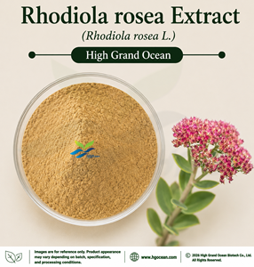 โรงงาน HGO จัดจำหน่ายโดยตรง สารสกัดโรดิโอลา โรเซีย (Rhodiola rosea L.) (เกรดอาหาร) อัตราส่วนสารสกัด 4:1 5:1 10:1 20:1 100:1 200:1 - Product Image 1