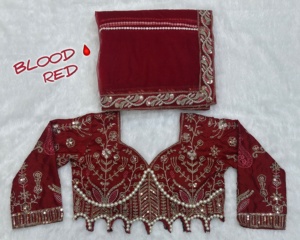 Sari de Diseño con Bordado de Hilo y Lentejuelas, para Fiestas, Bodas, Festividades, Estilo Étnico Indio, Tradicional, Elegante y Sofisticado - Product Image 6