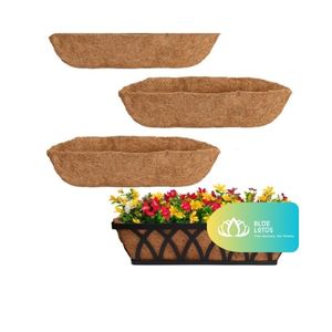 [DISPONIBLE] Pot en fibre de coco écologique et durable, sculpté à la main, pour la germination des graines, la propagation des plantes, la culture de semis, d'herbes et de plantes – Vietnam - Product Image 1