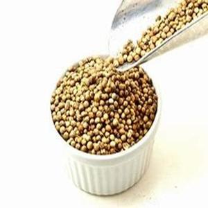 Poudre de coriandre de qualité supérieure AD Raw A+ Grade, moulue finement, épice naturelle, marque MEGH EXIM, 1000 kg, meilleur prix, assaisonnement culinaire - Product Image 2