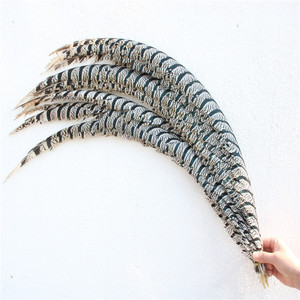 Plumas de Cola de Faisán de Lady Amherst Zebra Extralargas de 80-90 cm al por Mayor para Disfraces de Carnaval y Suministros para Fiestas - Product Image 5