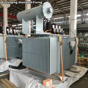 SGOB 1600kva Oil Immersed Electrical Wind Power Plant Step-Up Transformer