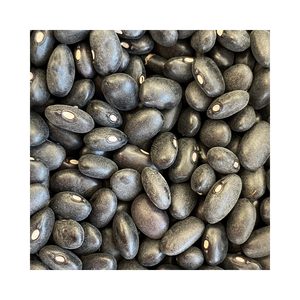 Venta al por mayor de frijoles negros, frijoles pintos y frijoles negros pinto, 100% orgánicos, procesados de forma segura, con empaque personalizado, sin OMG, de alta calidad, naturales, a granel. - Product Image 1