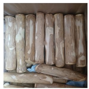 Juguete Natural para Perros, Mordedor de Madera de Café Vietnamita para Cachorros - Product Image 3