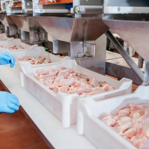 Pollo Congelado Halal Listo para Exportar, Carne de Pollo de Alta Calidad para Compradores Mayoristas Globales - Product Image 5