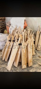 Bate de Críquet Profesional de Madera de Sauce Inglés OEM, Bate de Críquet de Grado Profesional, Logotipo Personalizado, Fabricante Mayorista, Bate Personalizado para Jugador - Product Image 2