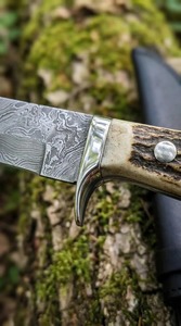 Couteau de chasse en acier Damas, lame à pointe clip, manche en bois de cerf, avec étui en cuir noir, fait main et personnalisé - Product Image 3