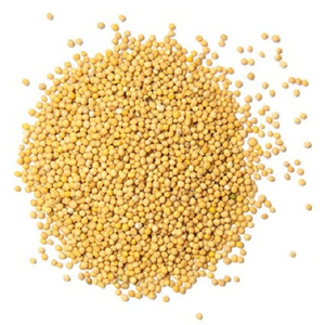 Millet farci de qualité supérieure, biologique, de qualité alimentaire, en gros, en vrac, en stock, service OEM, fabricant exportateur - Product Image 5
