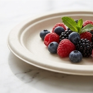 11 Inch Round Bagasse Dinner Plate Compostable Disposable Sugarcane Fiber Tableware for Restaurants Catering Parties and Daily M - Product Image 1
