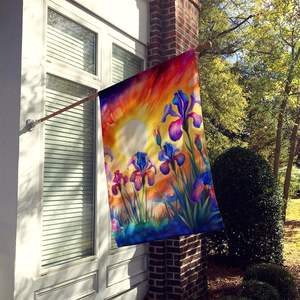 Iris Color Large Porch House <b>Flag</b> Multicolor Yard Banner Artwork Wall Hanging Made Durable Polyester <b>for</b> Sleeve <b>Pole</b> Decorative - Product Image 2